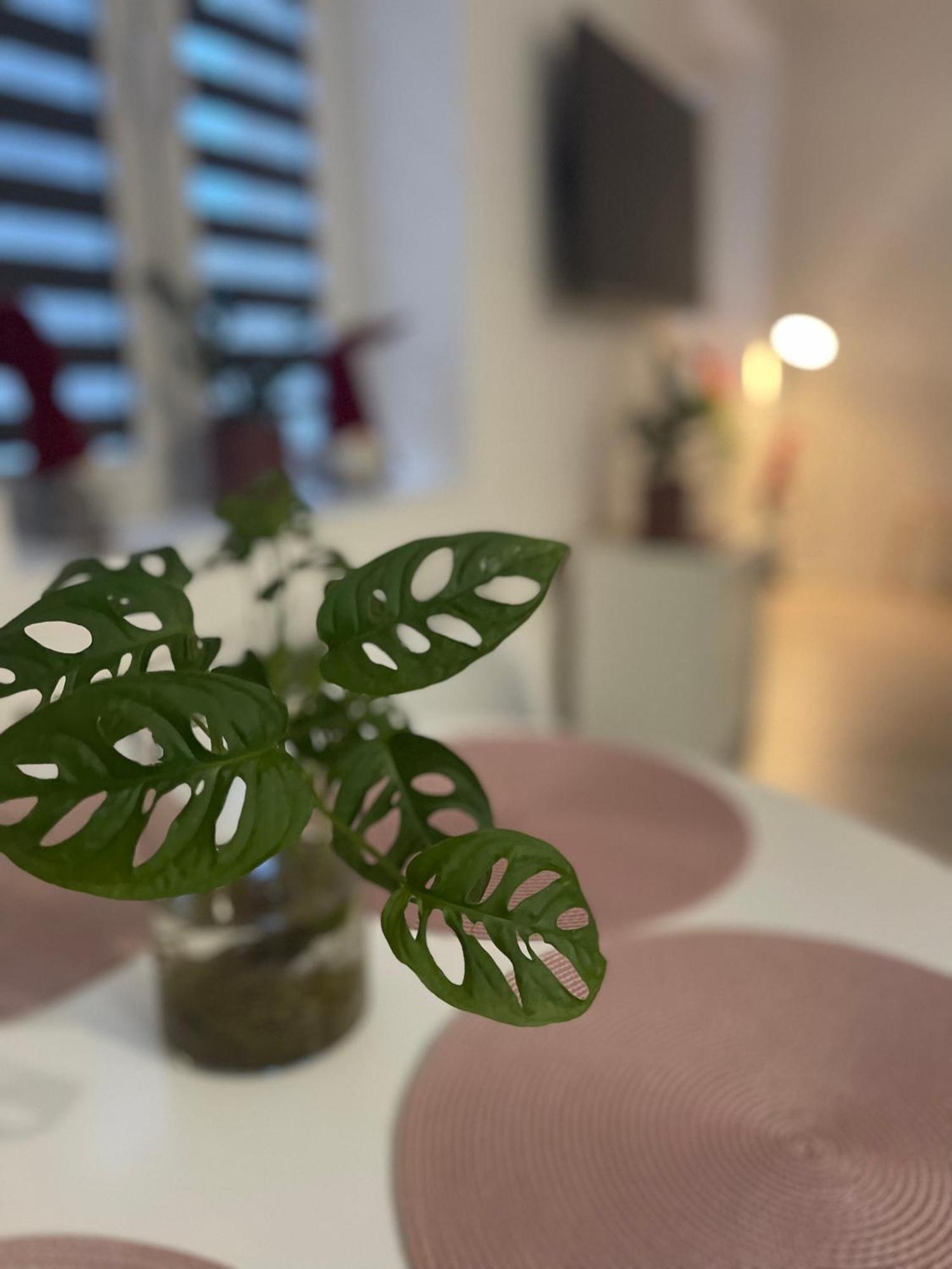 Nikifor Apartamenty Krynica-Zdroj Bagian luar foto